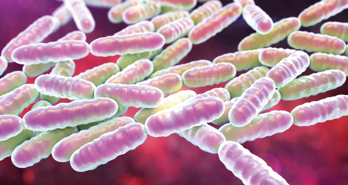Probiotik: et elastikbegreb, det kræver øvelse at mestre